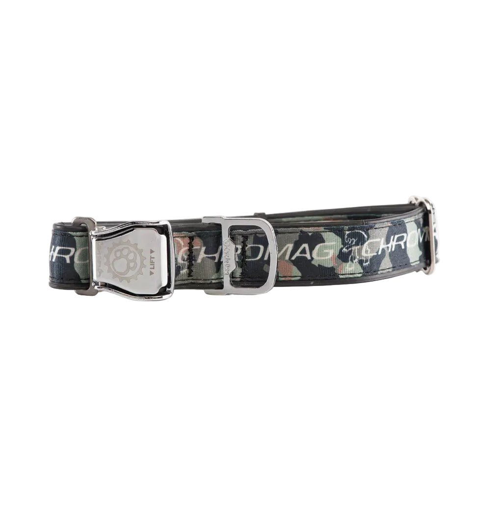 Dog Collar