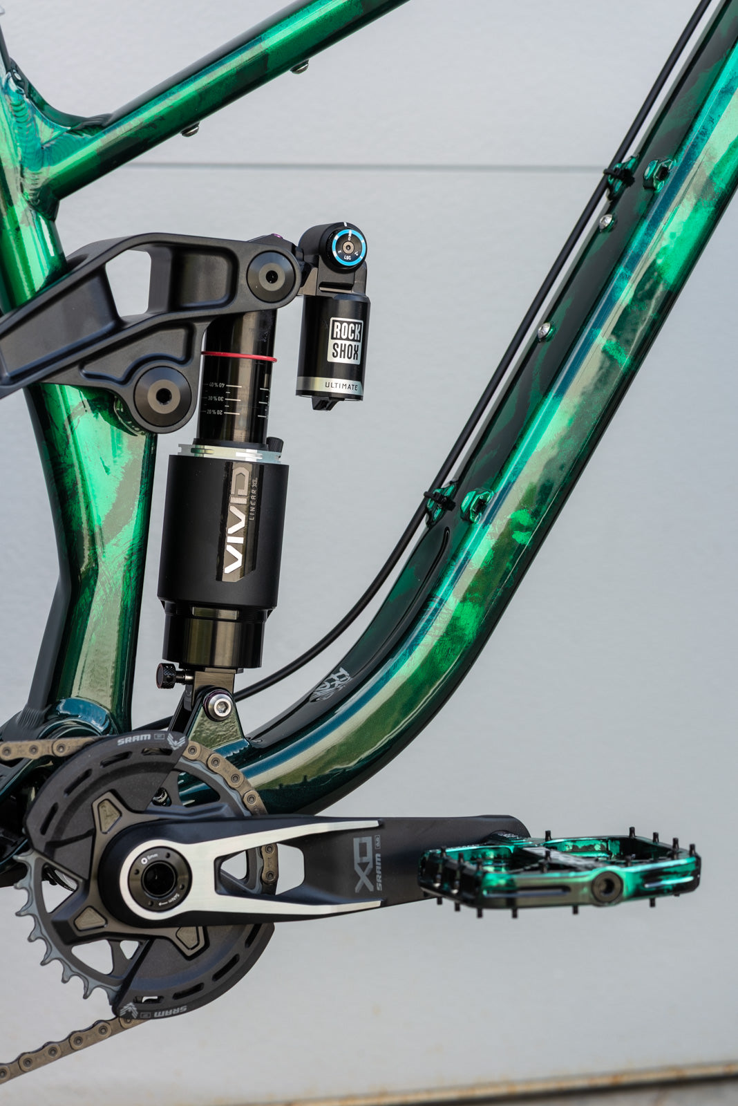 Showroom Throwdown